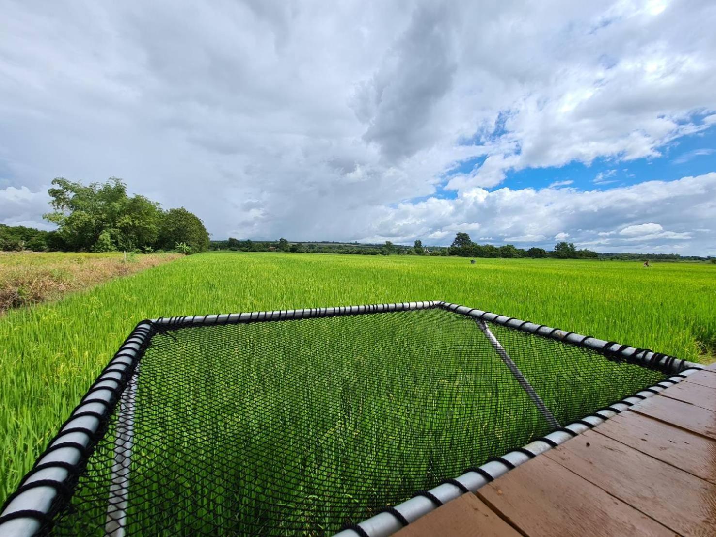 Ha Me Garden ฮามีการ์เด้น โฮมสเตย์ฝาง Exteriér fotografie